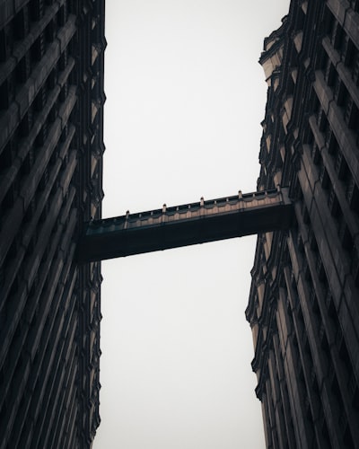 尊龙凯时官方网站引领电子娱乐新浪潮