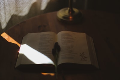 尊龙凯时平台运营方案：构建可持续增长的数字化生态